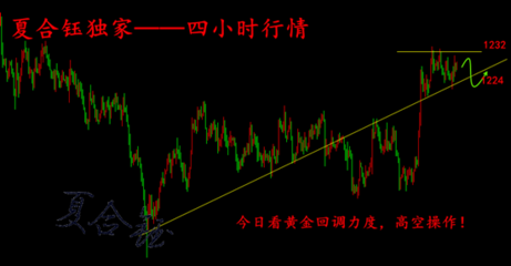 夏合钰:10.19美元涨暴涨黄金为何不跌?原因是它!今日操作